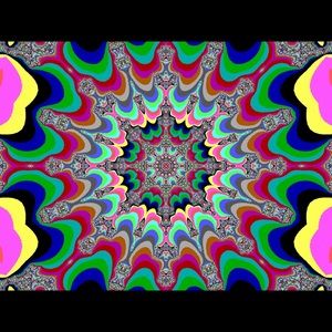 Meet your Posher, Kevin